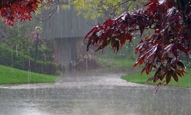 تداوم بارش باران در ایلام تا 24 ساعت آینده
