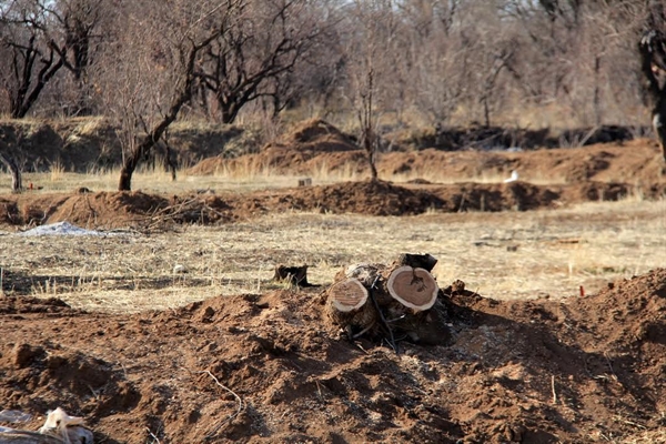 تیشه به ریشه باغستان های قزوین/ باغستان زیرتیغ تخریب + فیلم
