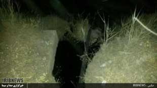 سرنوشت نامعلوم یک پسربچه تا شناسایی مجرمان با یک نگاه! +فیلم