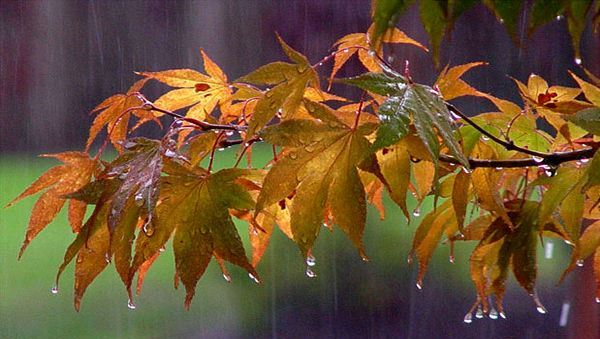 جو ناپایدار گیلان و کاهش شدید دما در روزهای آینده جو ناپایدار گیلان و کاهش شدید دما در روزهای آینده