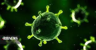 اطلاعیه ستاد پیشگیری از گسترش کرونا ویروس در ورزش