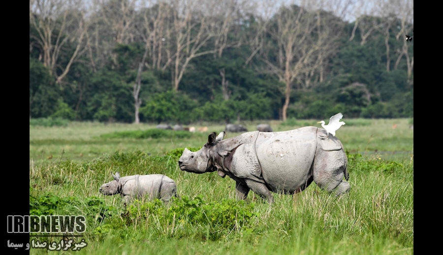 از تظاهرات ضد صهيونيستي در لندن تا اعتراضات در برلين ضد فروش سلاح