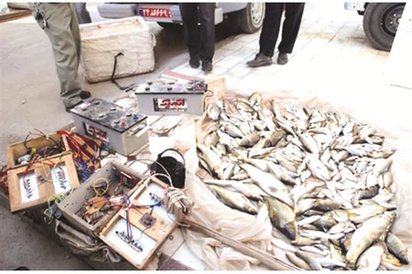 برخورد قضایی با صیادان ماهی با استفاده از شوک برقی