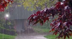 سه روز بارانی در استان یزد