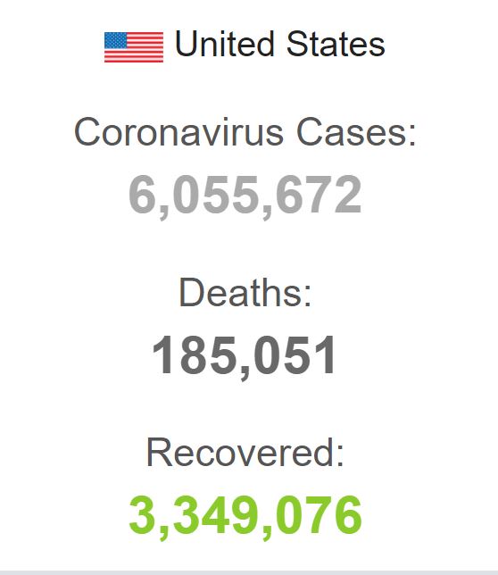 شمار قربانیان کرونا در آمریکا از ۱۸۵ هزار نفر گذشت