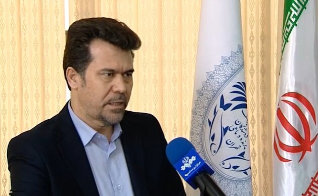 قد کشیدن قیمت سکه و دلار تا خوش بینی رئیس کل بانک مرکزی