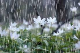 باران در طبیعت زیبای ایران