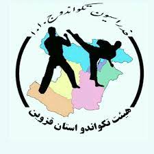 انتخاب رئیس هیئت تکواندوی استان قزوین