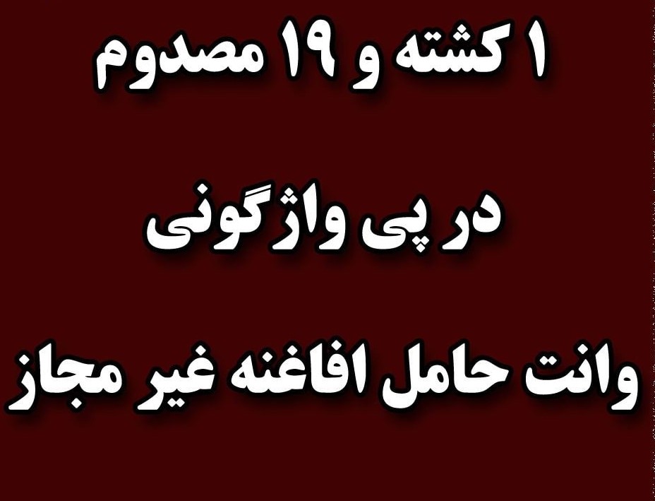 ۱ کشته و ۱۹ مصدوم در واژگونی خودروی  افغانهای غیر مجاز