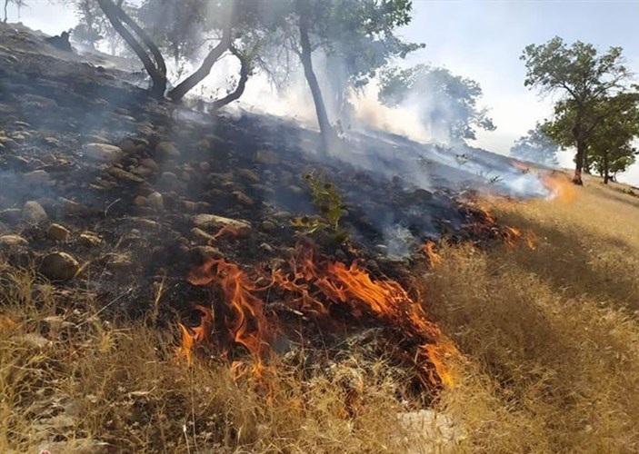 آتش سوزی مراتع و درختان روستای قلعه نو شهرستان ملایر و بی تفاوتی آتش نشانی