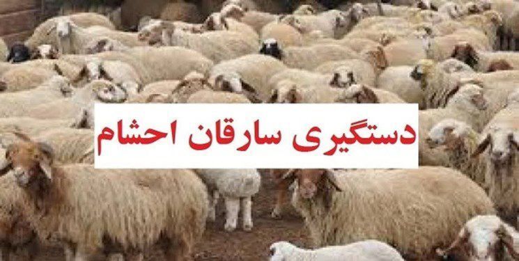 دستگیری سارقان احشام با تیراندازی پلیس در نیشابور