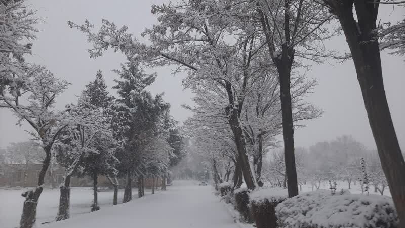 صدور هشدار زرد هواشناسی در زنجان / زنجان دومین روز متوالی در صدر سردترین های کشور