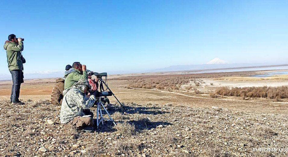 سرشماری پرندگان آبزی و کنارآبزی در شهرستان پلدشت