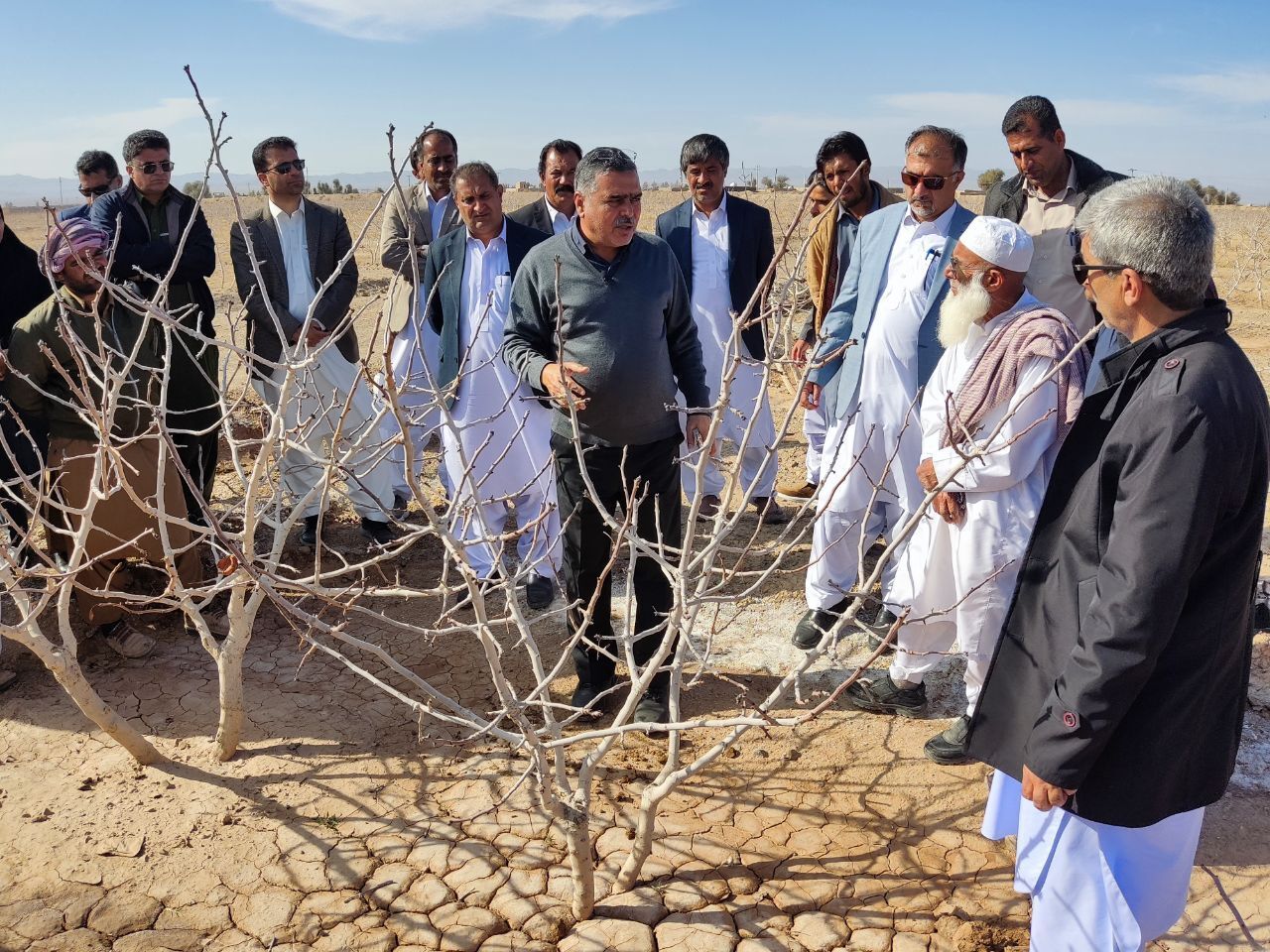 جهاد میدانی محققان برای جهش تولید بامشارکت مردمی درسیستان وبلوچستان