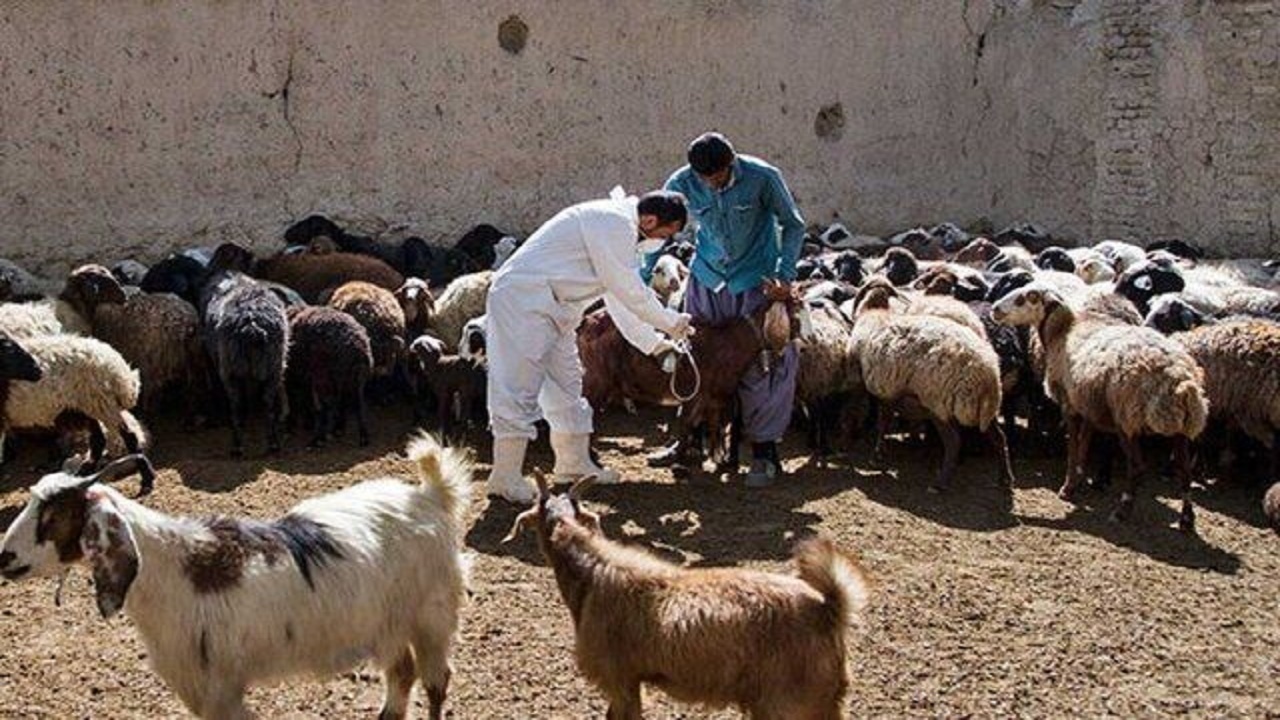 خطر بروز تب برفکی را جدی بگیرید