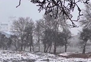 زیبایی های برف در شهر یاسوج