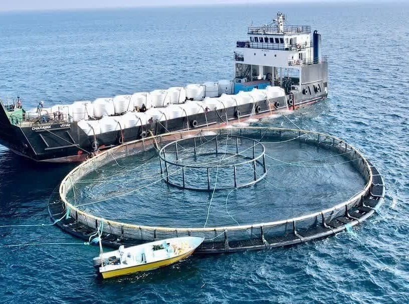 جایگاه ویژه خوزستان در حوزه فعالیتهای دریایی جایگاه ویژه خوزستان در حوزه فعالیتهای دریایی