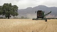 خرید ۲۵۰ هزار تن گندم از کشاورزان لرستانی