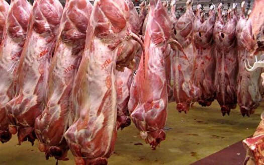 جریمه میلیاردی برای گرانفروشی گوشت در تهران