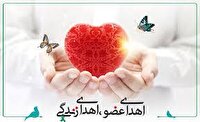 اهدای اعضای مرد ۵۰ ساله باغملکی به بیماران نیازمند پیوند