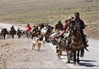 تداوم خدمات رسانی به عشایر خوزستان