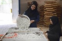ایجاد ۵۹۲ فرصت شغلی با راه اندازی تعاونی‌های جدید در خراسان جنوبی 