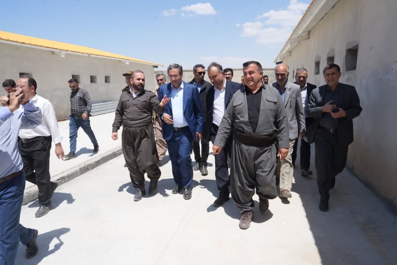 پیشرفت ۹۰ درصدی واحد مرغ مادر تخم‌گذار در پیرانشهر