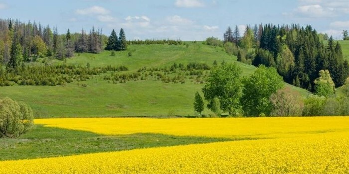 هفته‌ای گرم و شرجی پیش روی گیلانیان