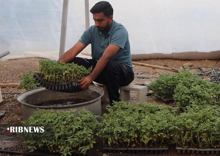 آغاز کشت محصولات گلخانه‌ای در بخش جغین رودان