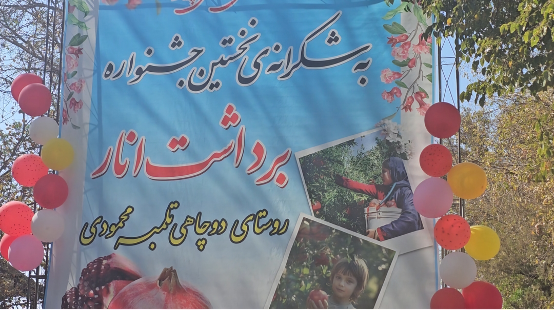 برگزاری جشنواره انار درسیرجان