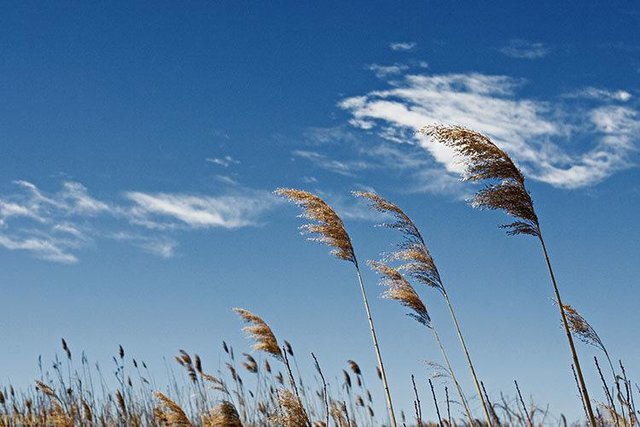 آسمان استان همدان تا آخر هفته صاف تا قسمتی ابری همره با وزش باد