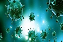 ثبت دومین فوت قطعی ناشی از بیماری آنفلوانزا در هرمزگان