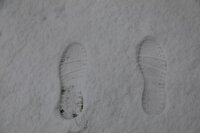 باران در دشت، برف در کوهستان های قزوین