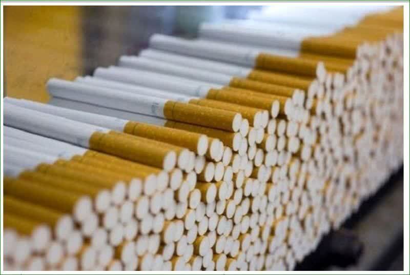 کشف بیش از ۵۱۴ هزار نخ سیگار قاچاق در پاوه کشف بیش از ۵۱۴ هزار نخ سیگار قاچاق در پاوه