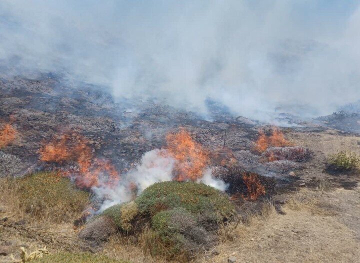 حریق در بخشی از جنگل ابر شاهرود
