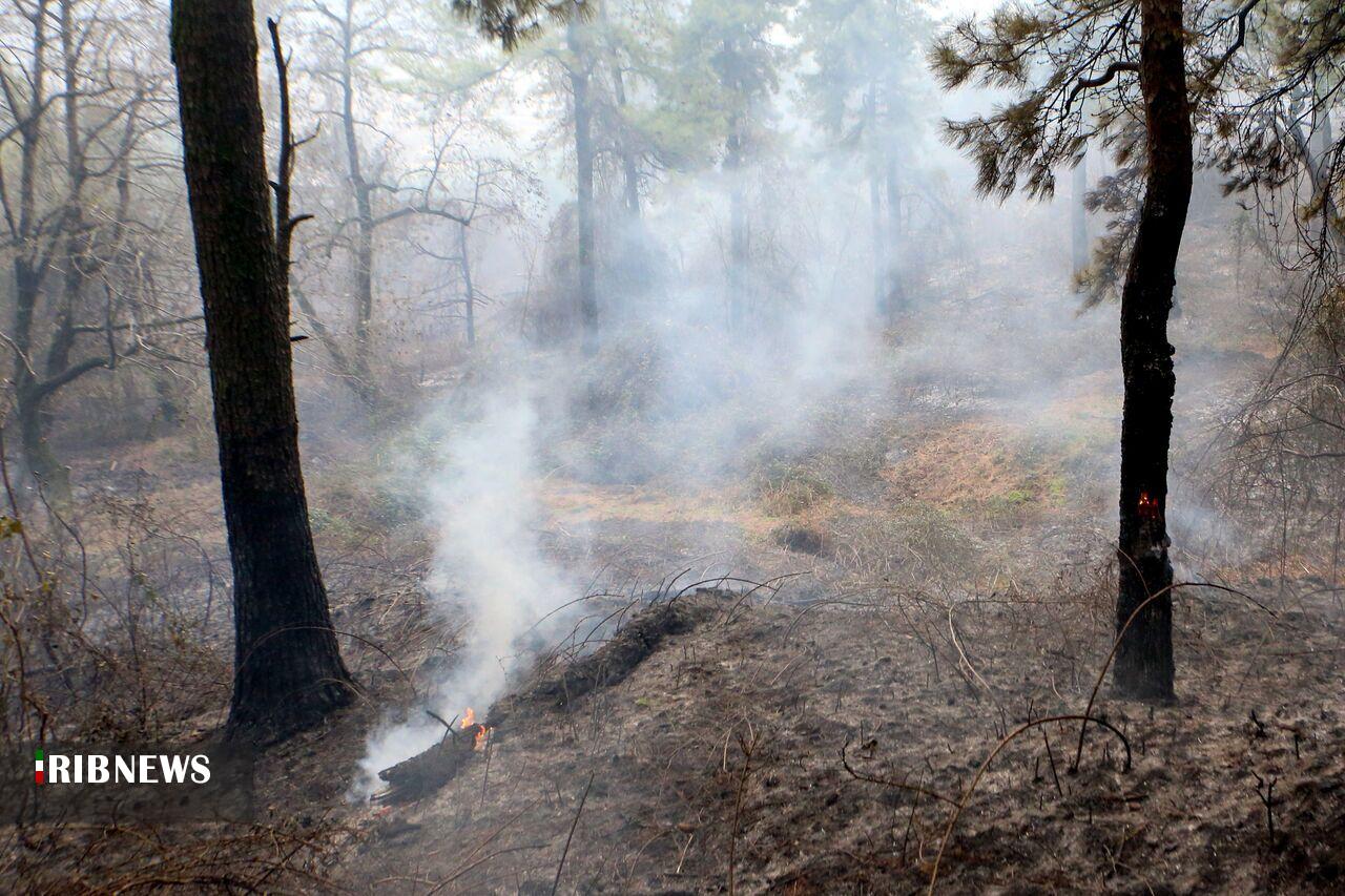 ادامه عملیات مهار آتش در جنگلهای آذربایجان شرقی و گلستان ادامه عملیات مهار آتش در جنگلهای آذربایجان شرقی و گلستان
