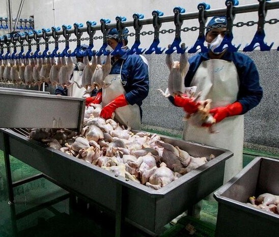 کشتارگاه‌های کم‌کار در آذربایجان‌غربی تعزیراتی می‌شوند