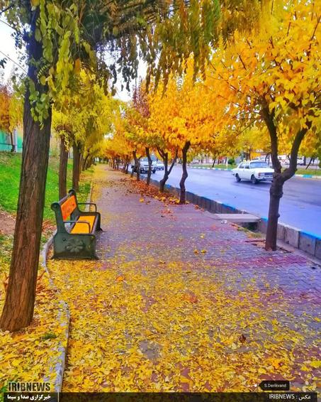 زیبایی های خرم آباد در فصل پائیز شهر زیبایی ها
عکس: سعیده دریکوند