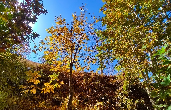 طبیعت رزجرد