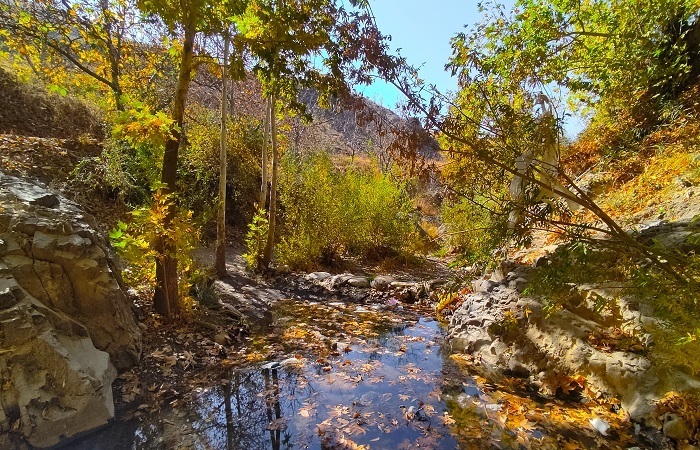 طبیعت رزجرد