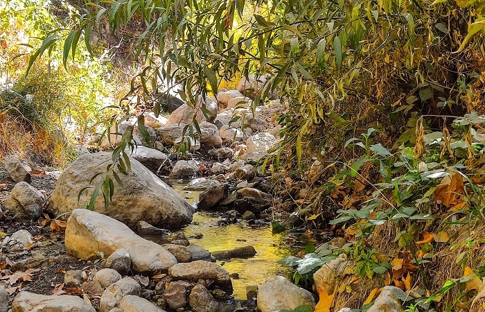 طبیعت رزجرد